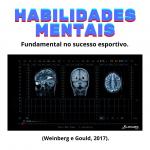 Habilidades mentais - Psicologia do Esporte - Linhares Coach