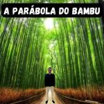 A parábola do bambu - Coaching Esportivo - Linhares Coach