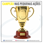 CAMPEÃO nas pequenas ações - COACHING ESPORTIVO - Linhares Coach