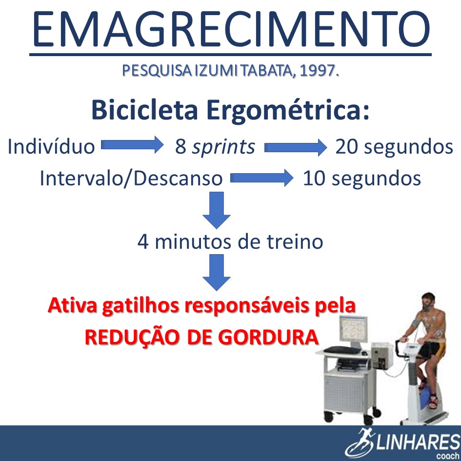 004 - Emagrecimento e Definicao - Intermediario - Ficha 2 - Semana