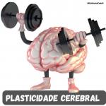 Plasticidade cerebral - Coaching do Esporte - Thiago Linhares Coach