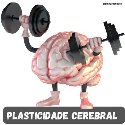 Plasticidade cerebral - Coaching do Esporte - Thiago Linhares Coach