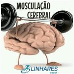 Musculação Cerebral - Coaching Esportivo - Linhares Coach